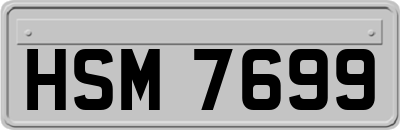 HSM7699