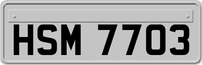 HSM7703