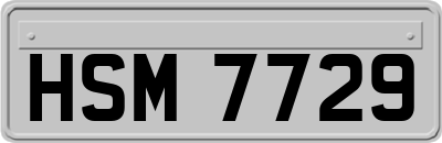 HSM7729