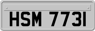 HSM7731