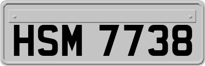 HSM7738