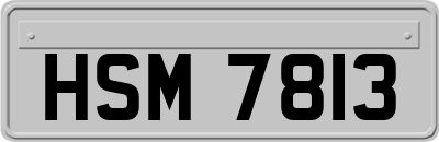 HSM7813