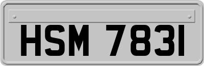 HSM7831