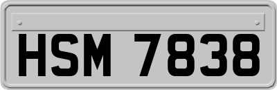 HSM7838