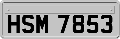 HSM7853