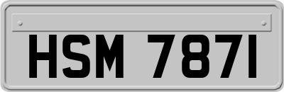 HSM7871