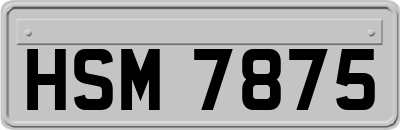 HSM7875
