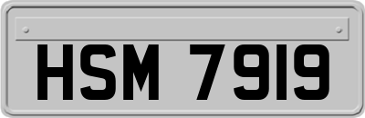 HSM7919