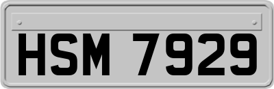 HSM7929