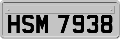 HSM7938