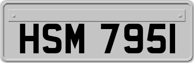 HSM7951
