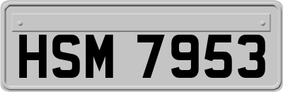 HSM7953