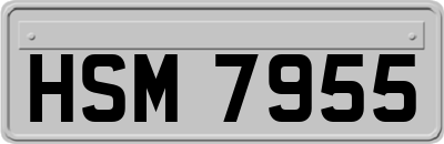 HSM7955