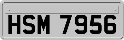 HSM7956