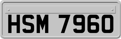 HSM7960
