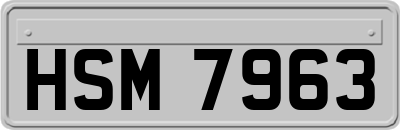 HSM7963