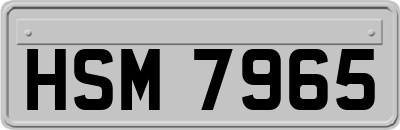 HSM7965