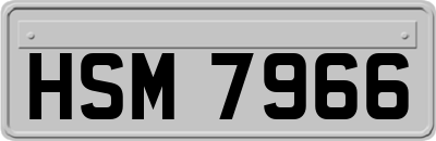 HSM7966