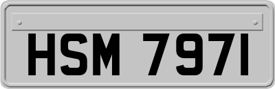 HSM7971
