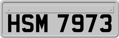 HSM7973