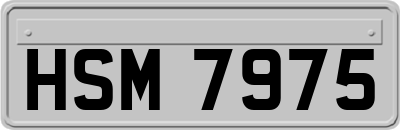 HSM7975