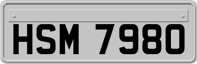 HSM7980