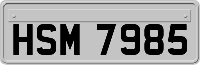 HSM7985