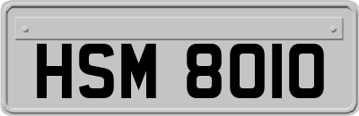 HSM8010