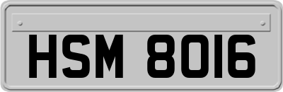 HSM8016