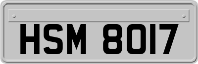 HSM8017