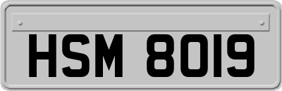 HSM8019