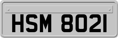 HSM8021