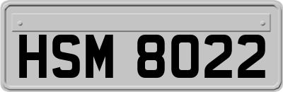 HSM8022
