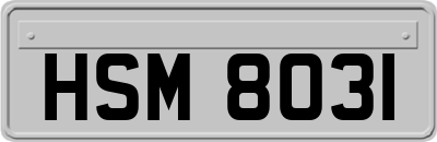 HSM8031