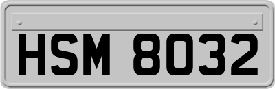 HSM8032