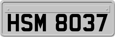 HSM8037