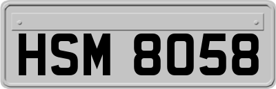HSM8058
