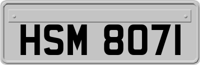 HSM8071