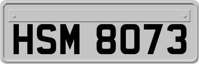 HSM8073