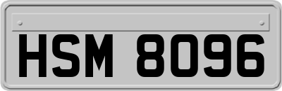 HSM8096