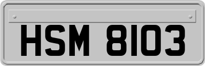 HSM8103
