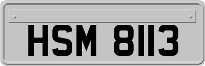 HSM8113