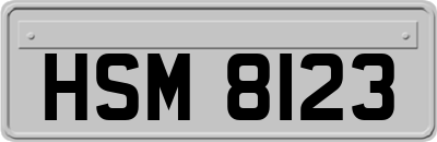 HSM8123