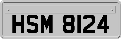 HSM8124