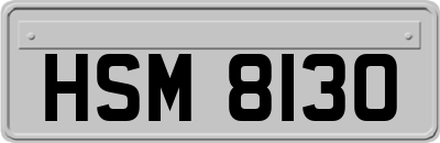 HSM8130