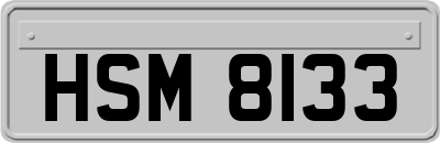 HSM8133