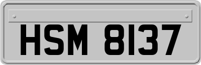 HSM8137