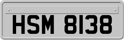 HSM8138