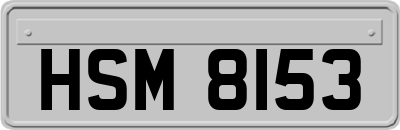 HSM8153