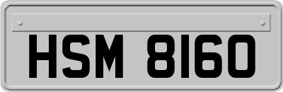 HSM8160